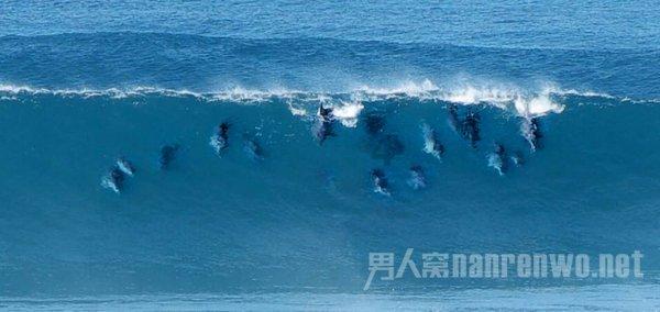 SCI实验教程全集!69个实验Protocol+58个实操视频