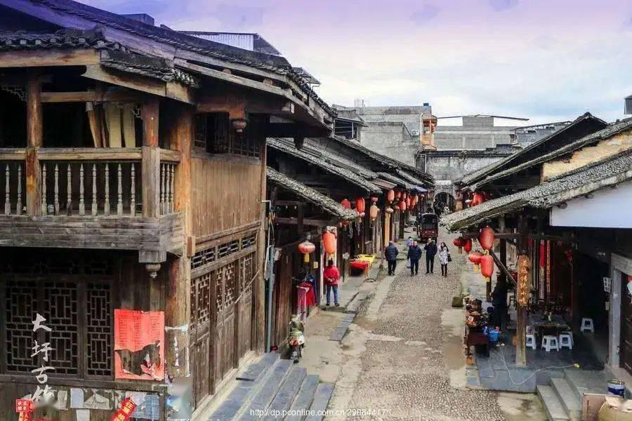 高标准养出“富硒生猪”